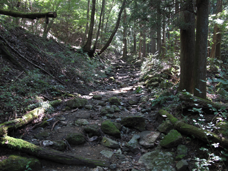 20151014hike (52)
